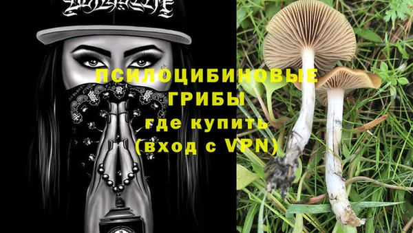 каннабис Абаза