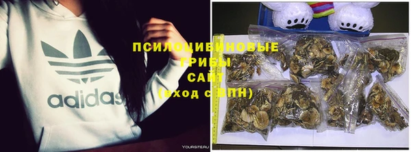 стаф Абинск
