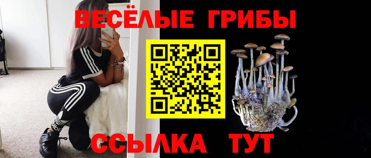 Ялта  Псилоцибиновые грибы прущие грибы  Вход с VPN 